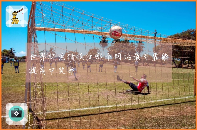 世界杯竞猜投注哪个网站最可靠能提高中奖率