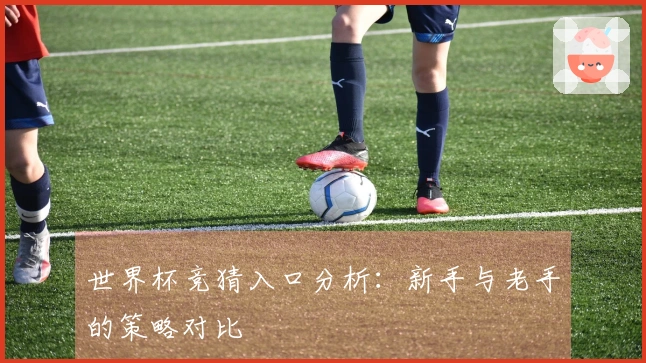 世界杯竞猜入口分析:新手与老手的策略对比