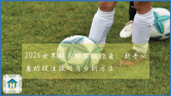 2026世界杯买球实战指南：新手必看的投注技巧与分析方法