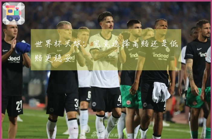 世界杯买球：究竟选择高赔还是低赔更稳妥