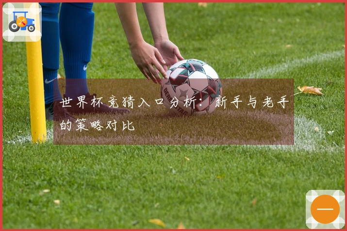 世界杯竞猜入口分析：新手与老手的策略对比