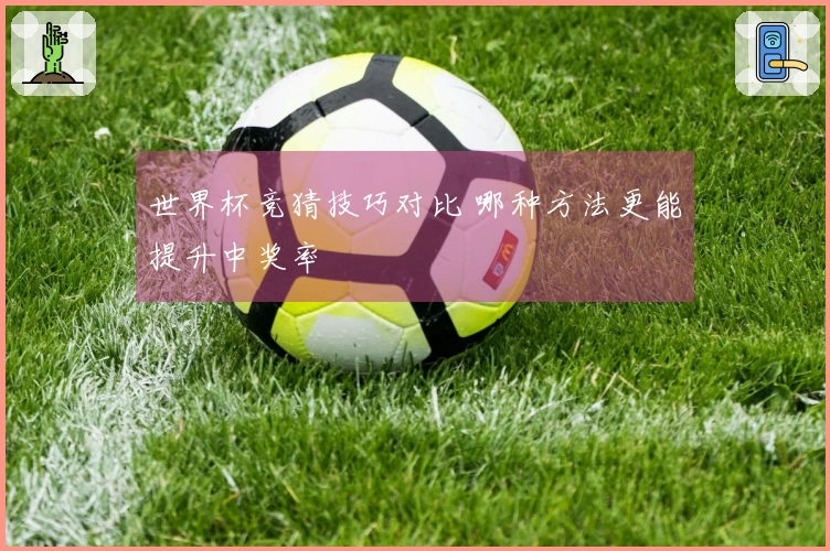 世界杯竞猜技巧对比 哪种方法更能提升中奖率