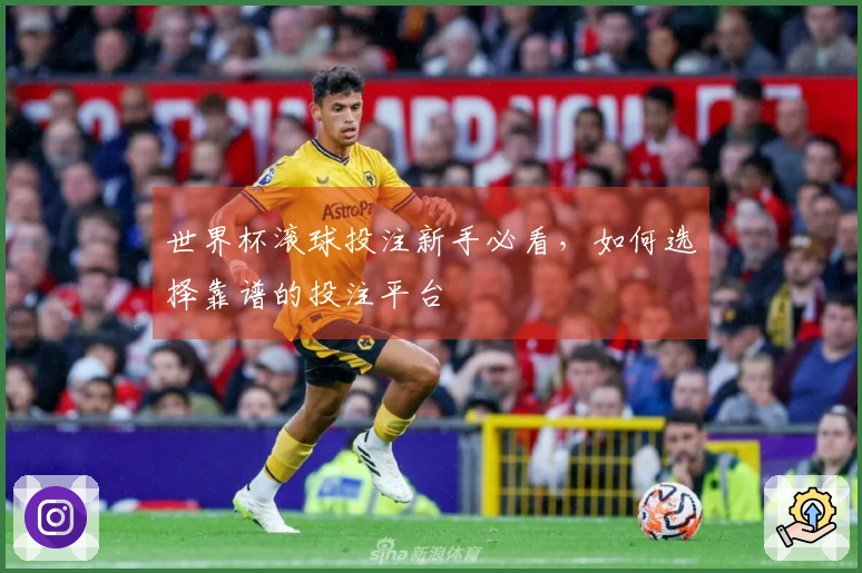 世界杯滚球投注新手必看，如何选择靠谱的投注平台